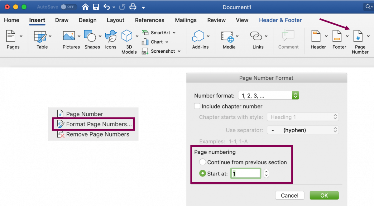 do custom page numbers in word for mac 2016